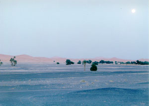 Sahara vecer